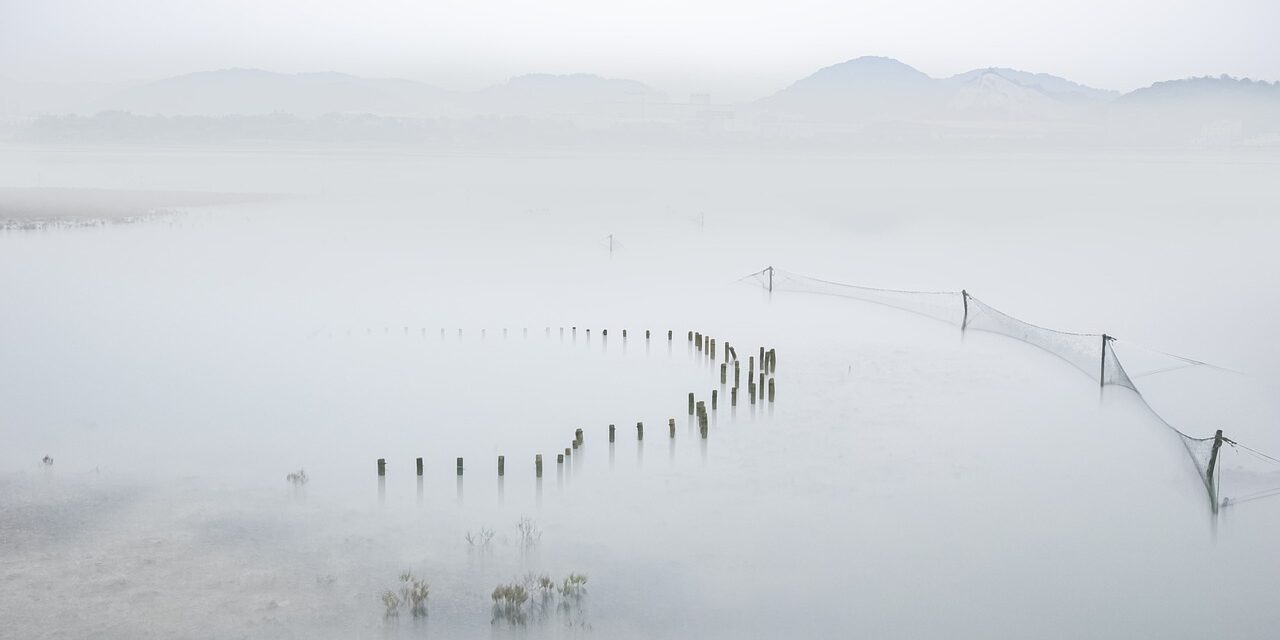 Causes Of Water Shortages » The Great Salt Lake: A…