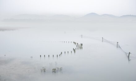 Causes Of Water Shortages » The Great Salt Lake: A…