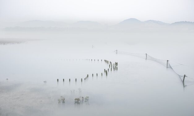Causes Of Water Shortages » The Great Salt Lake: A…