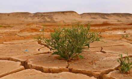 Climate Change And Its Effects On The Lake’s Water Levels…