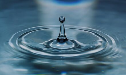 Current State Of The Lake And The Impact Of Water…