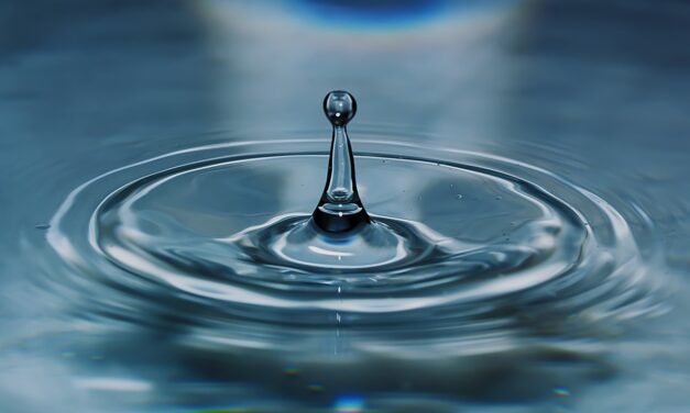 Current State Of The Lake And The Impact Of Water…