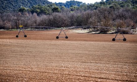 Drip Irrigation Solutions For Gardens | The Great Salt Lake:…