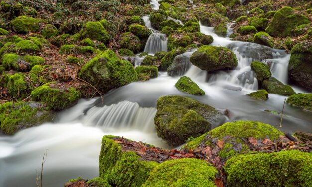 Effective Water Conservation Techniques – The Great Salt Lake: A…