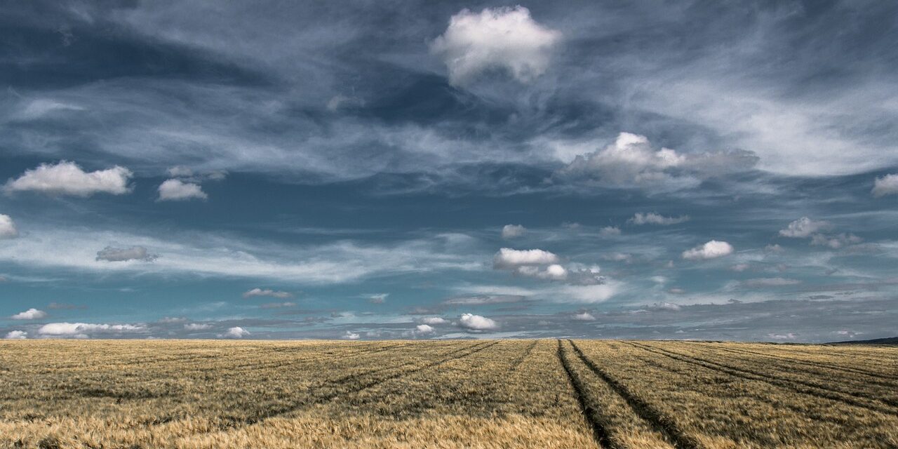 Efficient Irrigation Systems For Farms | The Great Salt Lake:…