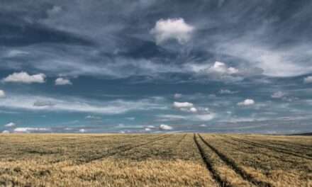 Efficient Irrigation Systems For Farms | The Great Salt Lake:…