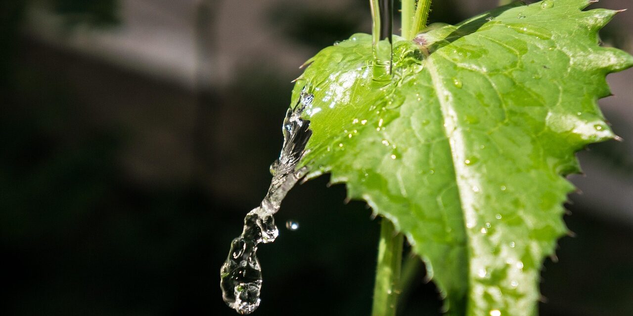 Efficient Irrigation Systems For Farms | The Great Salt Lake:…