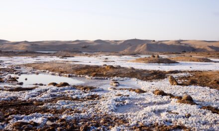 Great Salt Lake: The Great Salt Lake: A Thirsty Giant…