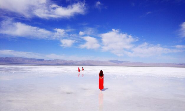 Great Salt Lake: The Great Salt Lake: A Thirsty Giant…