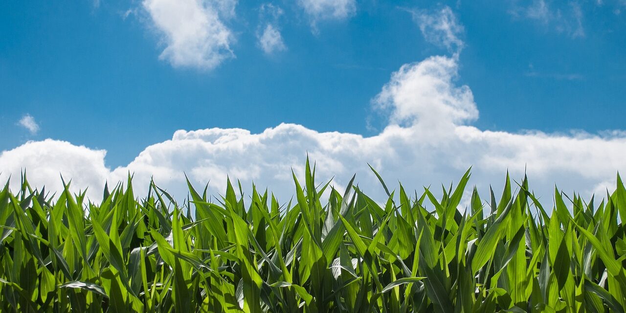 Smart Irrigation Technology For Agriculture | The Great Salt Lake:…