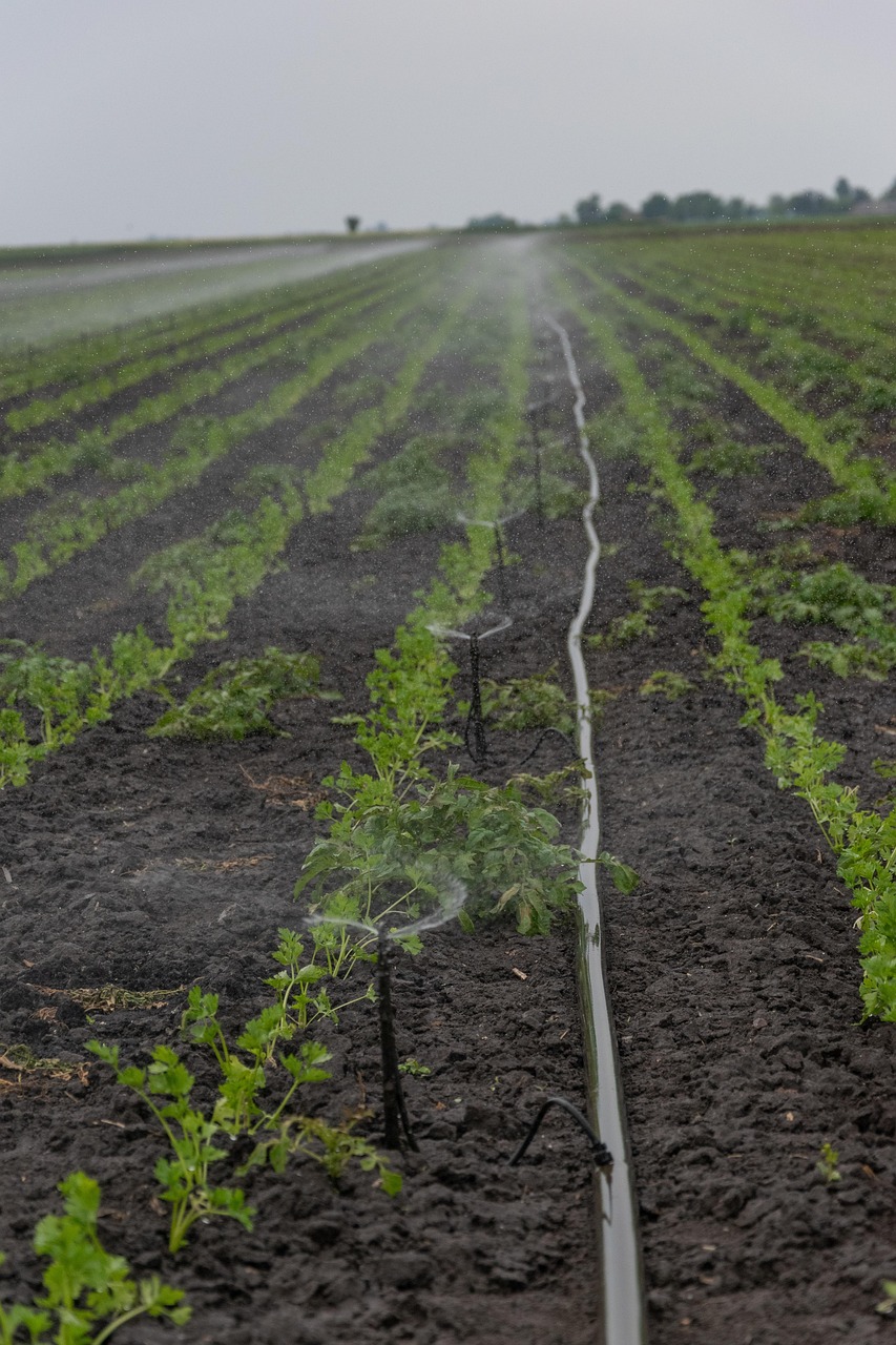 Smart Irrigation Technology For Agriculture / The Great Salt Lake:…