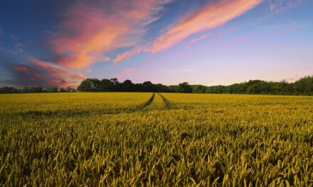 Sustainable Agriculture Practices – The Great Salt Lake: A Thirsty…