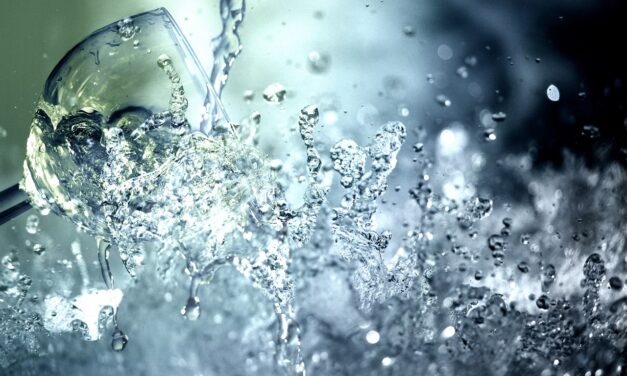 Tourism And Recreation: Discuss The Effects Of Water Shortages On…