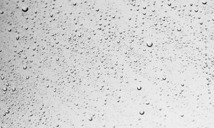Water Rights And Legal Issues: Examine The Legal Aspects Of…