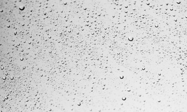 Water Rights And Legal Issues: Examine The Legal Aspects Of…