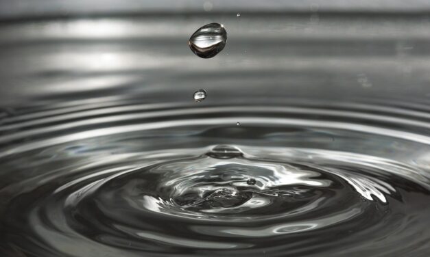 Water Shortage ~ The Great Salt Lake: A Thirsty Story…