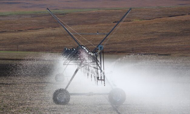 Water-efficient Irrigation Techniques: The Great Salt Lake: A Thirsty Giant…
