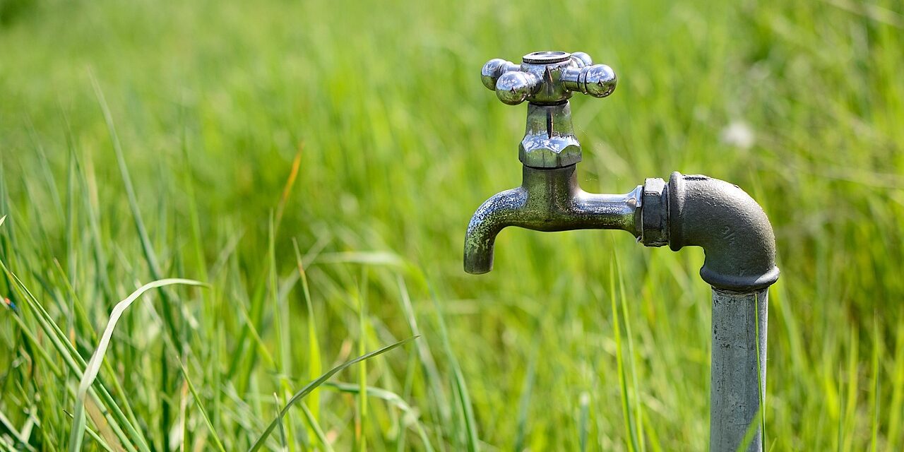 Water-efficient Irrigation Techniques » The Great Salt Lake: A Salty…