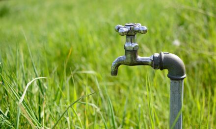 Water-efficient Irrigation Techniques » The Great Salt Lake: A Salty…