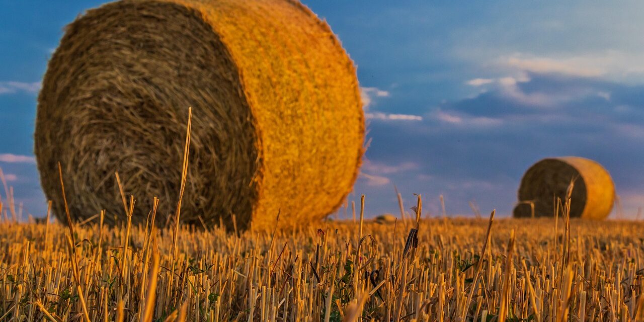 Water Scarcity Solutions For Agriculture / The Great Salt Lake:…