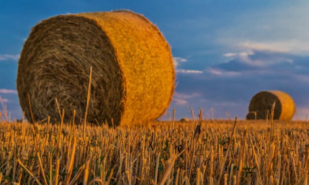 Water Scarcity Solutions For Agriculture / The Great Salt Lake:…