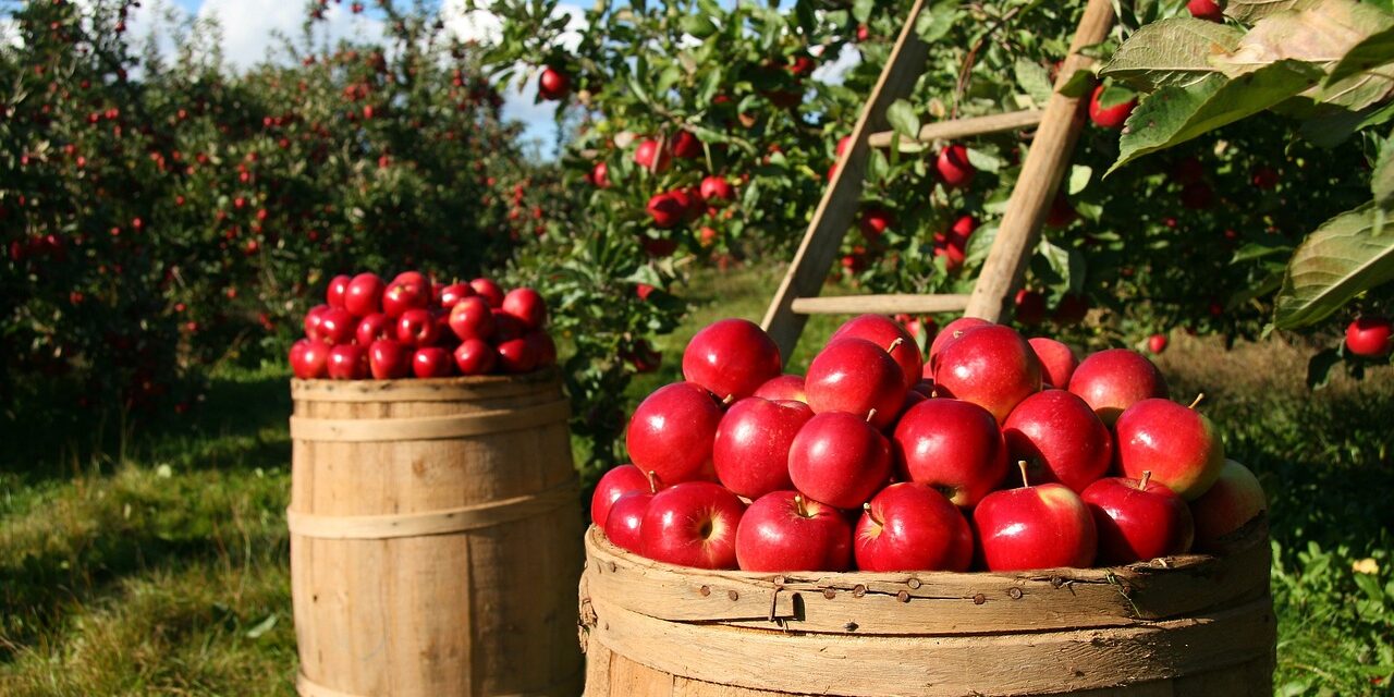 Water Scarcity Solutions For Agriculture | The Great Salt Lake:…