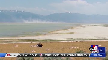 Update on the Great Salt Lake