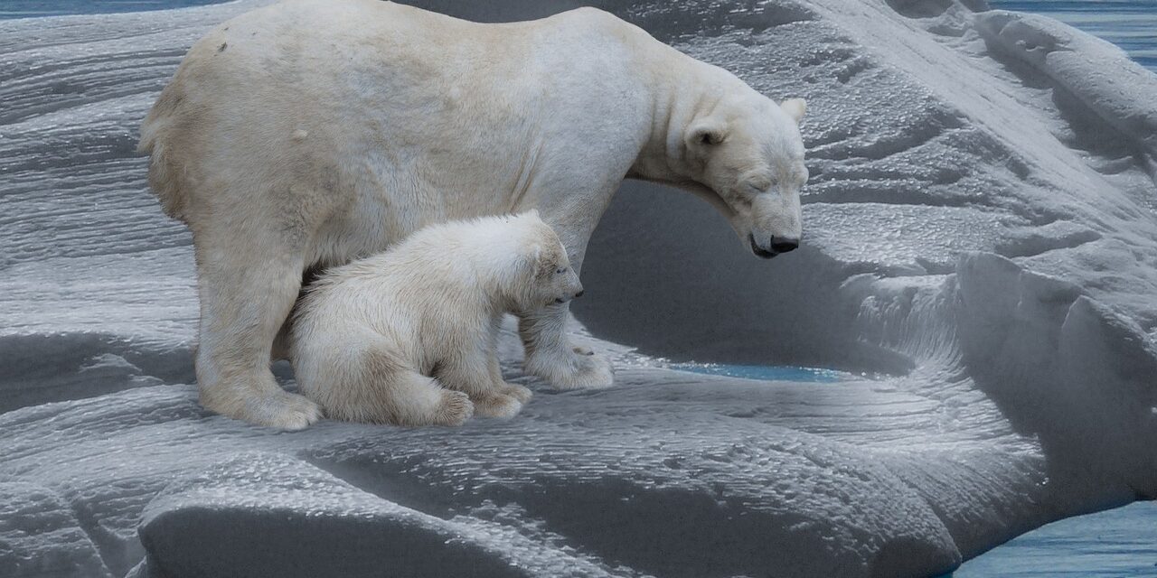 Climate Change And Its Effects On The Lake’s Water Levels…