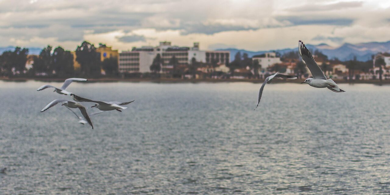 Community And Stakeholder Involvement / The Great Salt Lake: A…