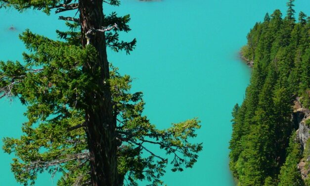 Current State Of The Lake And The Impact Of Water…