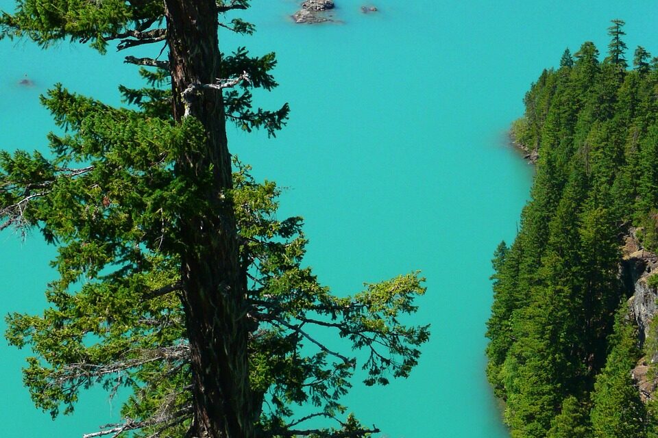 Current State Of The Lake And The Impact Of Water…