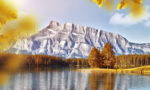 Current State Of The Lake And The Impact Of Water…