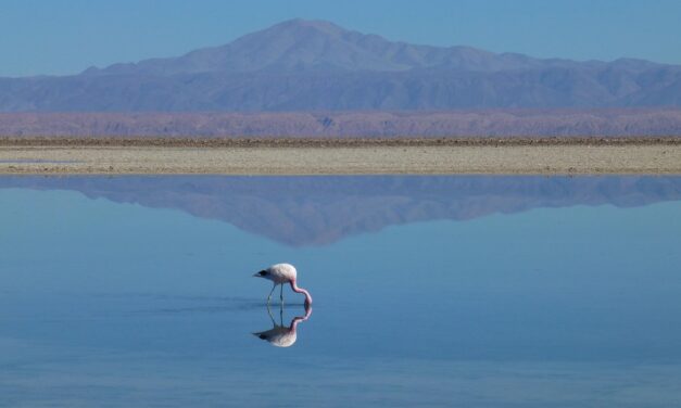 Current State Of The Lake And The Impact Of Water…