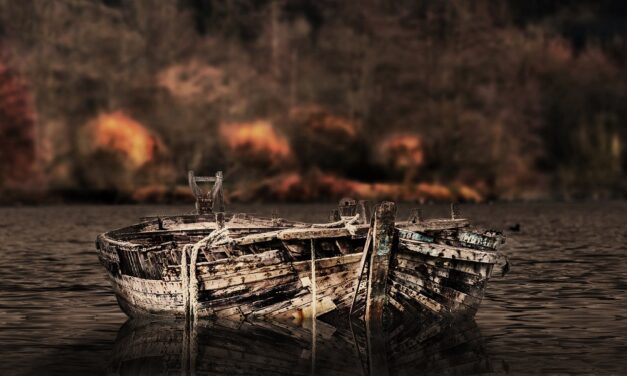 Current State Of The Lake And The Impact Of Water…