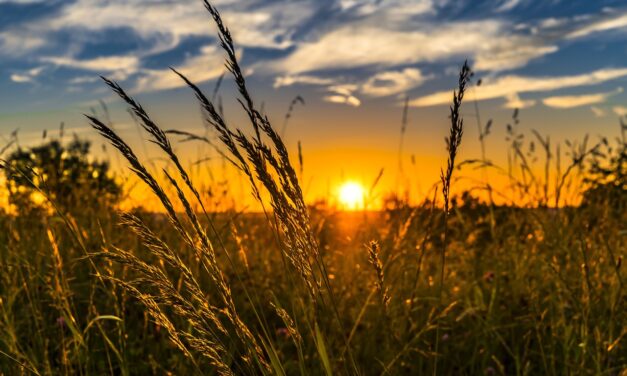 Efficient Irrigation Systems For Farms – The Great Salt Lake:…