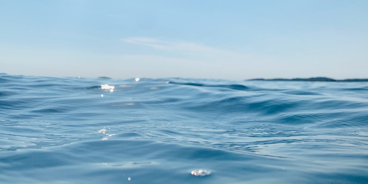 “Great Salt Lake Water Conservation Strategies” / The Great Salt…