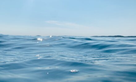 “Great Salt Lake Water Conservation Strategies” / The Great Salt…