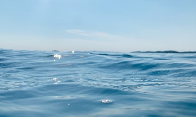 “Great Salt Lake Water Conservation Strategies” / The Great Salt…