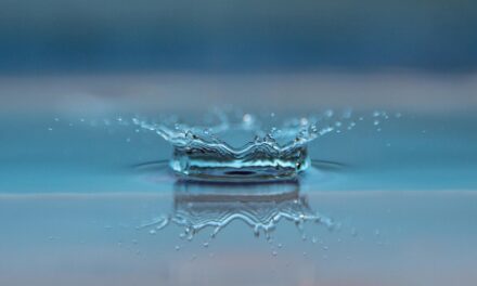 “Great Salt Lake Water Management Solutions” – The Great Salt…