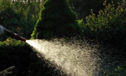 Irrigation Water Solutions » The Great Salt Lake: A Thirsty…