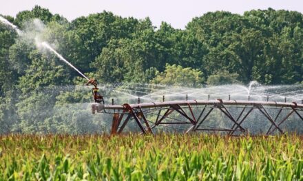 Precision Irrigation Techniques And Sustainable Watershed Management » The Great…