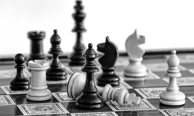 Public Policy And Advocacy: Discuss The Role Of Advocacy Groups…