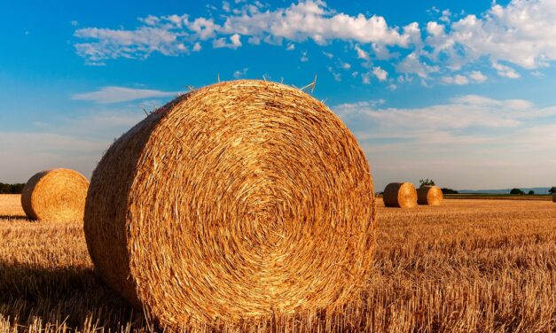 Sustainable Agriculture Practices » The Great Salt Lake: A Thirsty…