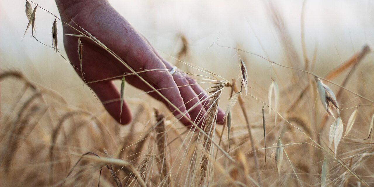 Sustainable Agriculture Practices: The Great Salt Lake: A Thirsty Giant…