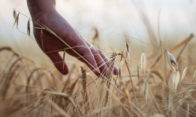 Sustainable Agriculture Practices: The Great Salt Lake: A Thirsty Giant…