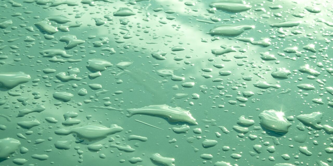 Tourism And Recreation: Discuss The Effects Of Water Shortages On…