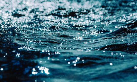 Water Cycle Management / The Great Salt Lake: A Thirsty…