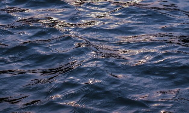 Water Shortage | The Great Salt Lake: A Sea Of…