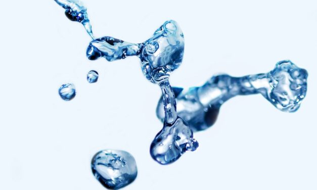 Water Shortage » The Great Salt Lake: A Sea In…