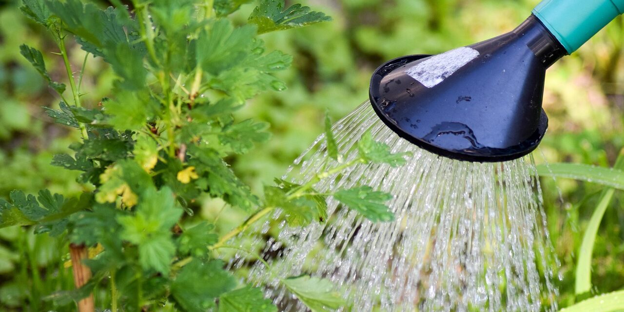 Water-efficient Irrigation Techniques: The Great Salt Lake: A Sea Of…